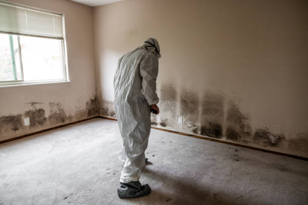 Best Industrial Mold Remediation in Penn Wynne, PA